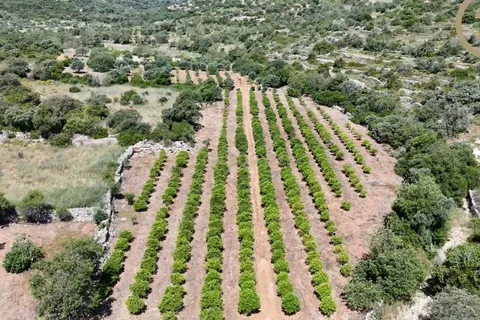 Helårsgrund i Olhao, Faro, Olhao - € 150.000 | Ref: C0384-00311 - foto 11
