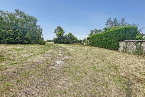 Terra a Angerville, Essonne, Angerville - € 82.000 | Ref: 86136969 - foto 3