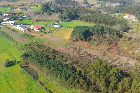 Helårsgrund i Anadia, Aveiro, Anadia - € 40.000 | Ref: C0484-00122 - foto 5