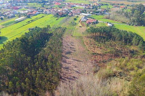Helårsgrund i Anadia, Aveiro, Anadia - € 40.000 | Ref: C0484-00122 - foto 6