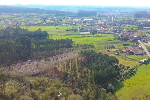 Helårsgrund i Anadia, Aveiro, Anadia - € 40.000 | Ref: C0484-00122 - foto 7