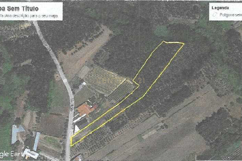Helårsgrund i Anadia, Aveiro, Anadia - € 40.000 | Ref: C0484-00122 - foto 9