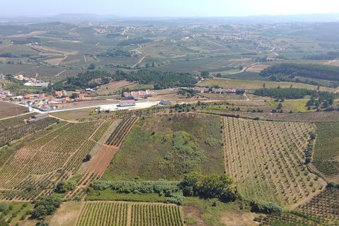 Helårsgrund i Bombarral, Leiria, Bombarral - € 17.500 | Ref: C0484-00233 - foto 2