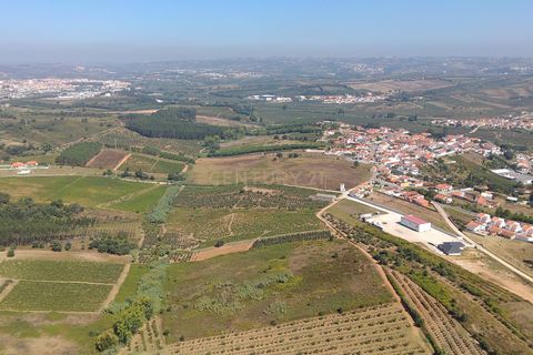 Helårsgrund i Bombarral, Leiria, Bombarral - € 17.500 | Ref: C0484-00233 - foto 4