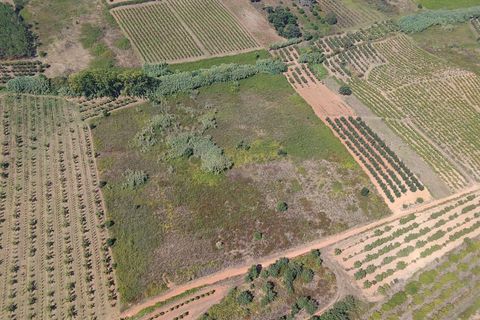 Helårsgrund i Bombarral, Leiria, Bombarral - € 17.500 | Ref: C0484-00233 - foto 5