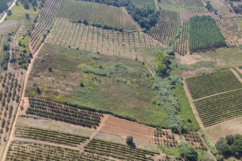 Helårsgrund i Bombarral, Leiria, Bombarral - € 17.500 | Ref: C0484-00233 - foto 7