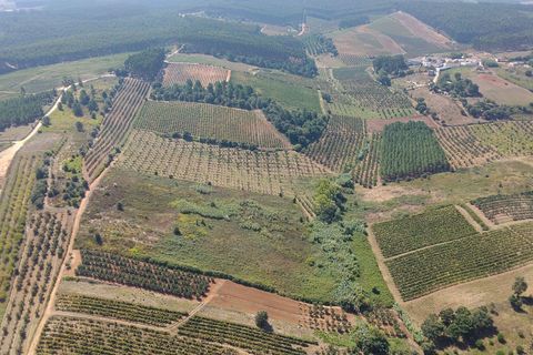 Helårsgrund i Bombarral, Leiria, Bombarral - € 17.500 | Ref: C0484-00233 - foto 8