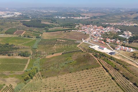 Helårsgrund i Bombarral, Leiria, Bombarral - € 17.500 | Ref: C0484-00233 - foto 9