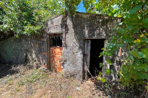 Byhus i Macao, Santarem, Macao - € 130.000 | Ref: A272025 - foto 18