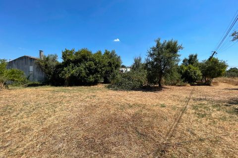 Byhus i Macao, Santarem, Macao - € 130.000 | Ref: A272025 - foto 27