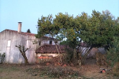 Byhus i Macao, Santarem, Macao - € 130.000 | Ref: A272025 - foto 28
