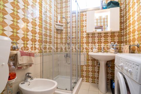 Villa a Mesola, Ferrara, Mesola - € 75.000 | Ref: 07VL063 - foto 15