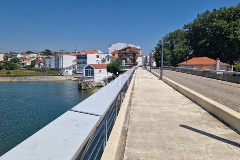 Terra a Gesteira e Brunhos, Coimbra, Gesteira e Brunhos - € 120.000 | Ref: ZMPT579551 - foto 3