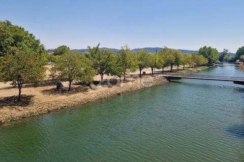 Terra a Gesteira e Brunhos, Coimbra, Gesteira e Brunhos - € 120.000 | Ref: ZMPT579551 - foto 4