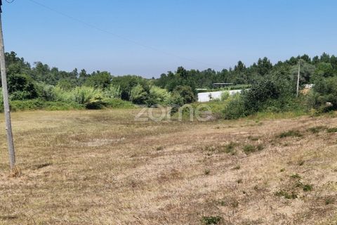 Terra a Gesteira e Brunhos, Coimbra, Gesteira e Brunhos - € 120.000 | Ref: ZMPT579551 - foto 5