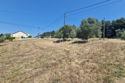 Terra a Gesteira e Brunhos, Coimbra, Gesteira e Brunhos - € 120.000 | Ref: ZMPT579551 - foto 7