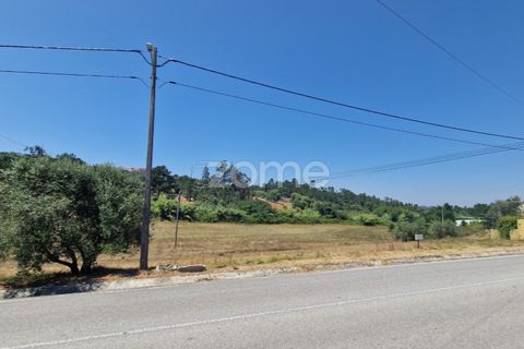 Terra a Gesteira e Brunhos, Coimbra, Gesteira e Brunhos - € 120.000 | Ref: ZMPT579551 - foto 9