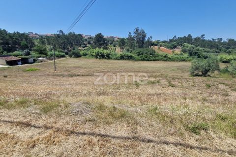 Terra a Gesteira e Brunhos, Coimbra, Gesteira e Brunhos - € 120.000 | Ref: ZMPT579551 - foto 11