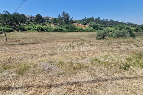 Terra a Gesteira e Brunhos, Coimbra, Gesteira e Brunhos - € 120.000 | Ref: ZMPT579551 - foto 12