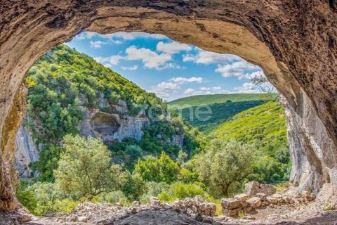 Terra a Gesteira e Brunhos, Coimbra, Gesteira e Brunhos - € 120.000 | Ref: ZMPT579551 - foto 15