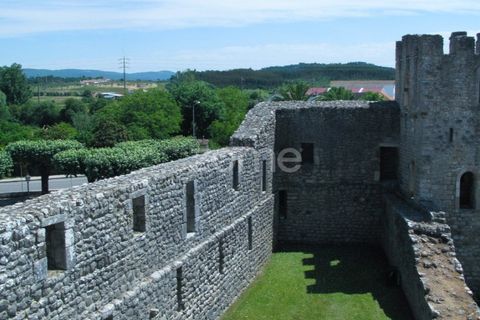 Terra a Gesteira e Brunhos, Coimbra, Gesteira e Brunhos - € 120.000 | Ref: ZMPT579551 - foto 16
