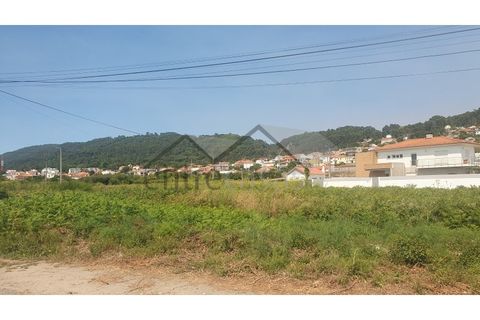 Terra a Areosa, Viana do Castelo, Areosa - € 230.000 | Ref: C0236/00356 - foto 3