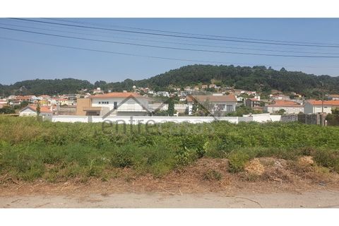 Terra a Areosa, Viana do Castelo, Areosa - € 230.000 | Ref: C0236/00356 - foto 4