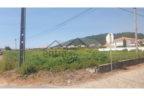 Terra a Areosa, Viana do Castelo, Areosa - € 230.000 | Ref: C0236/00356 - foto 6