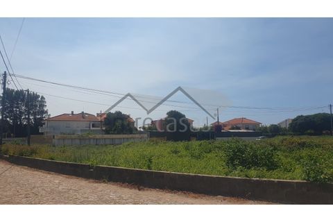 Terra a Areosa, Viana do Castelo, Areosa - € 230.000 | Ref: C0236/00356 - foto 7
