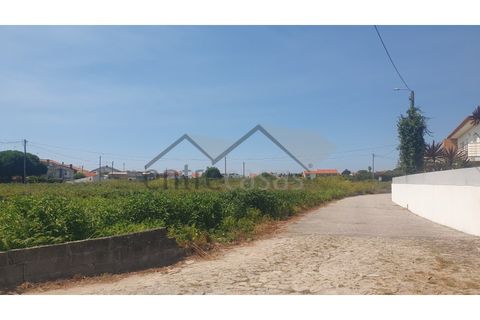 Terra a Areosa, Viana do Castelo, Areosa - € 230.000 | Ref: C0236/00356 - foto 8