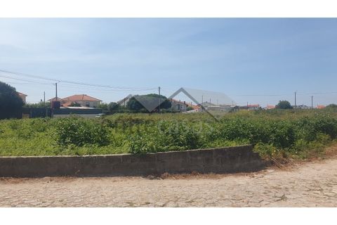 Terra a Areosa, Viana do Castelo, Areosa - € 230.000 | Ref: C0236/00356 - foto 9