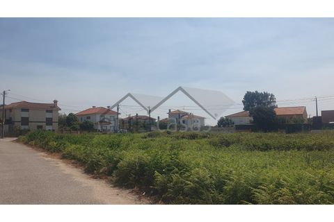 Terra a Areosa, Viana do Castelo, Areosa - € 230.000 | Ref: C0236/00356 - foto 10