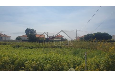 Terra a Areosa, Viana do Castelo, Areosa - € 230.000 | Ref: C0236/00356 - foto 11