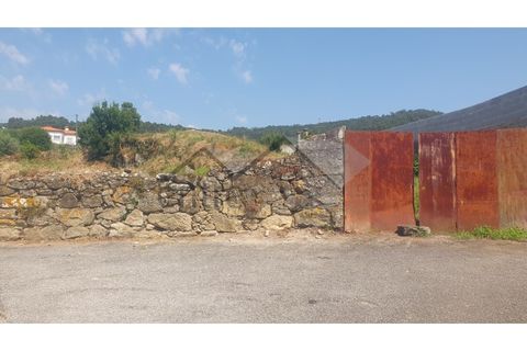 Terra a Areosa, Viana do Castelo, Areosa - € 320.000 | Ref: C0236/00357 - foto 3
