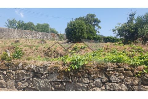 Terra a Areosa, Viana do Castelo, Areosa - € 320.000 | Ref: C0236/00357 - foto 4