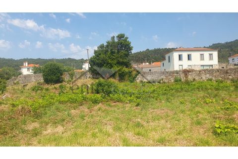 Terra a Areosa, Viana do Castelo, Areosa - € 320.000 | Ref: C0236/00357 - foto 7