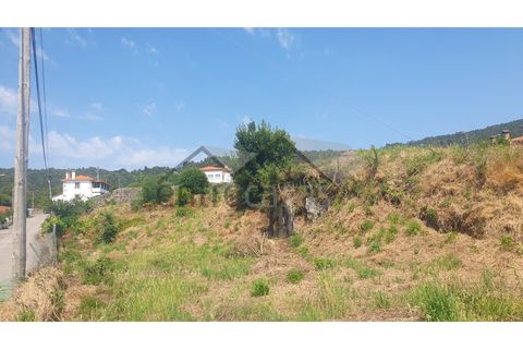 Terra a Areosa, Viana do Castelo, Areosa - € 320.000 | Ref: C0236/00357 - foto 11