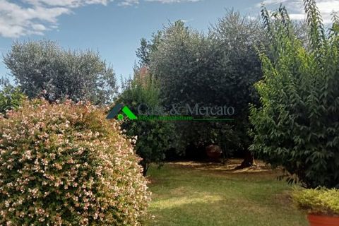 Villa i Lucca, Lucca, Lucca - € 349.000 | Ref: MRN-621 - foto 9