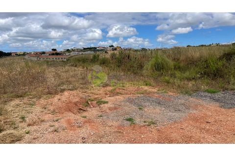 Helårsgrund i Cadaval, Lisbon, Cadaval - € 75.000 | Ref: 2028 - foto 3
