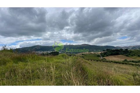 Helårsgrund i Cadaval, Lisbon, Cadaval - € 75.000 | Ref: 2028 - foto 10