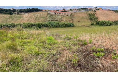 Helårsgrund i Cadaval, Lisbon, Cadaval - € 75.000 | Ref: 2028 - foto 12