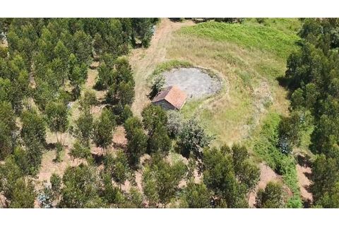 Helårsgrund i Alcobaca, Leiria, Alcobaca - € 270.000 | Ref: SÒL_380 - foto 4