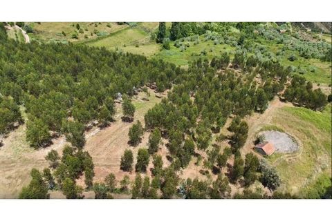 Helårsgrund i Alcobaca, Leiria, Alcobaca - € 270.000 | Ref: SÒL_380 - foto 6