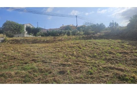 Helårsgrund i Alcobaca, Leiria, Alcobaca - € 77.000 | Ref: SÒL_379 - foto 4