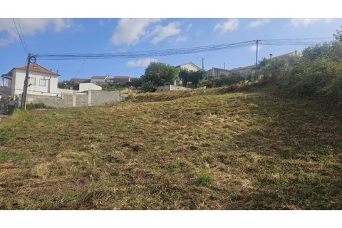 Helårsgrund i Alcobaca, Leiria, Alcobaca - € 77.000 | Ref: SÒL_379 - foto 8