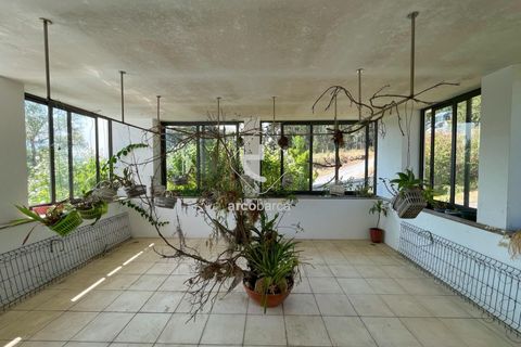 Byhus i Ponte de Lima, Viana do Castelo, Ponte de Lima - € 1.800.000 | Ref: AV6438 - foto 23