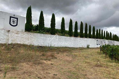 Terra a Alijo, Vila Real, Alijo - € 1.100.000 | Ref: TAPT01-1509_RC - foto 6