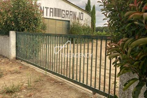 Terra a Alijo, Vila Real, Alijo - € 1.100.000 | Ref: TAPT01-1509_RC - foto 9