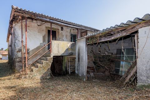 Landejendom i Lalin, Pontevedra, Lalin - € 140.000 | Ref: 2327 - foto 9