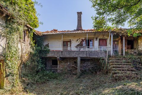 Landejendom i Lalin, Pontevedra, Lalin - € 140.000 | Ref: 2327 - foto 22